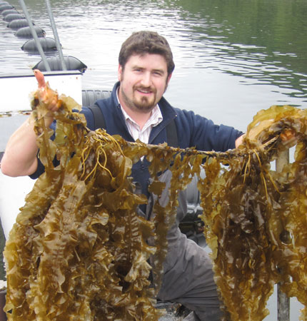 Lars Brunner, on our seaweed farm, holding a line of his sugar kelp crop