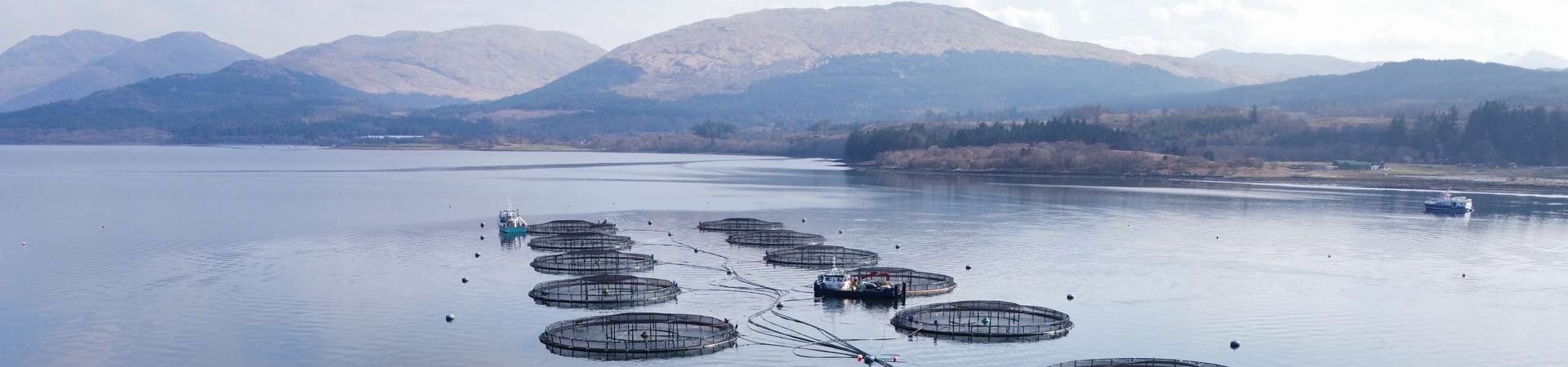 fish farm on the west coast of scotland