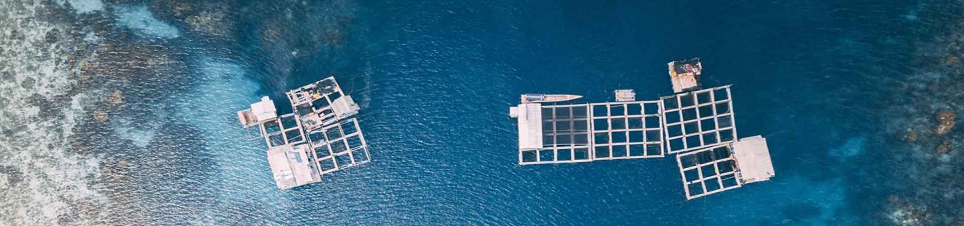 Aerial image showing cages of aquaculture in warm water 
