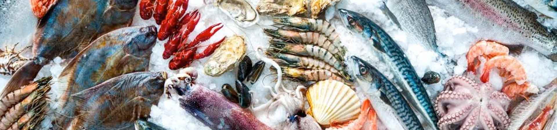 A selection of fresh seafood including fish, crustaceans and molluscs on a sales counter