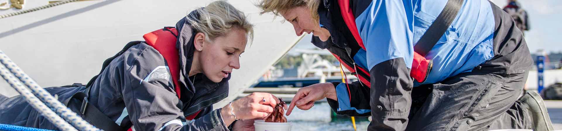 Image with two scientists in a marina looking at alien invasive species they sampled