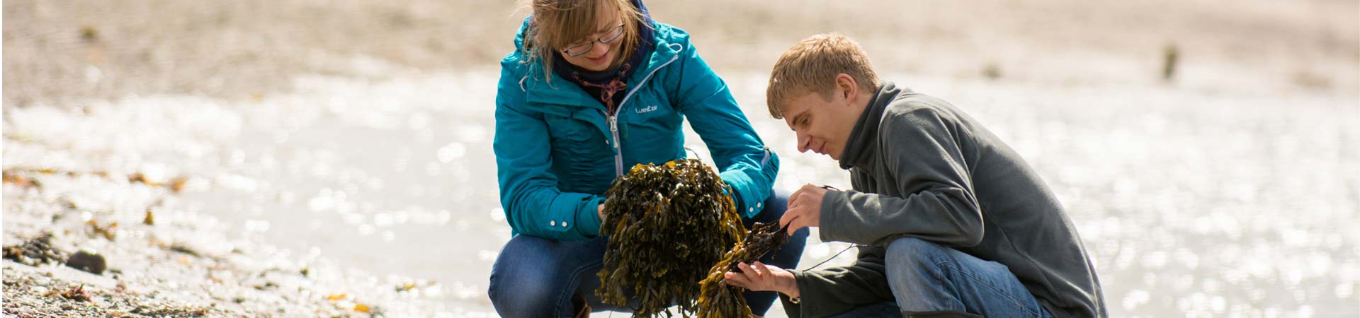 Image showing two students on the shore collecting seaweed