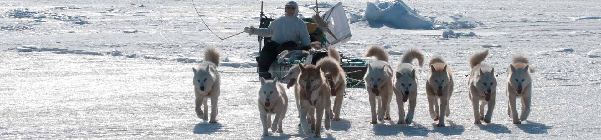 A dog sled driven by a native Greenlander with instrumentation that allows scientists to gather information while the hunter is on the ice