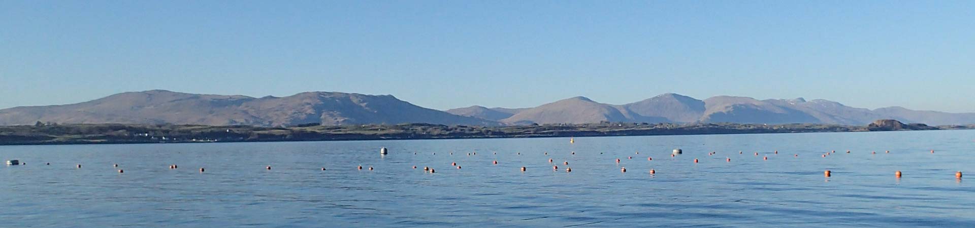 Picture of our seaweed farm - only a few buoys visible from the surface