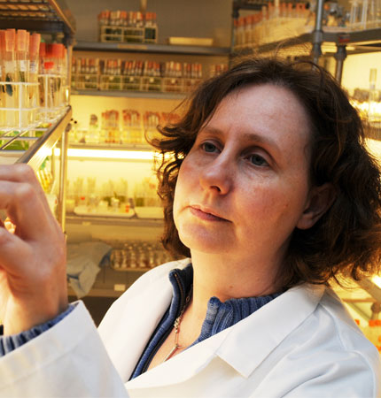 
        Professor Michele Stanley selecting strains from the Culture Collection of Algae and Protozoa
        