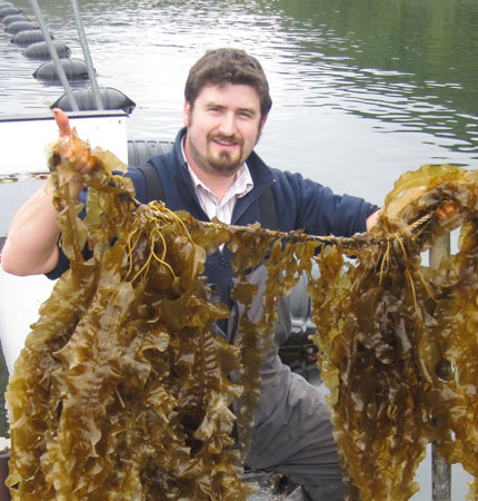 
        Lars Brunner, on our seaweed farm, holding a line of his sugar kelp crop
        