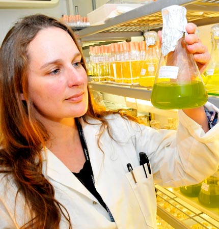 Joanne with a flask of algae inside the culture collection of algae and protozoa