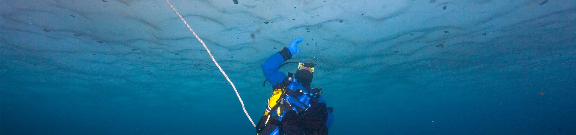 Diver collecting sea ice algae below sea ice