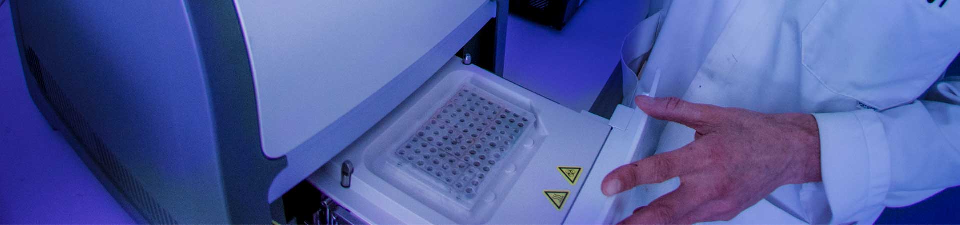 Sample with molecular biology extracts prepared for analysis