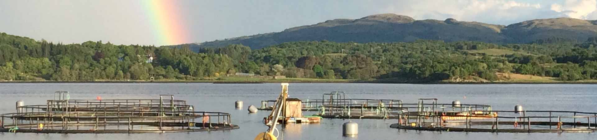 Scottish sea trout farm in Loch Etive with rainbow above