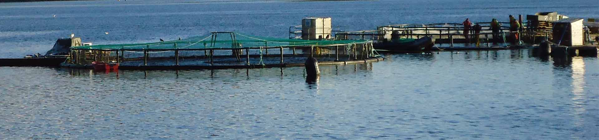 A fish farm in Scotland, not yet bearing any renewable energy devices