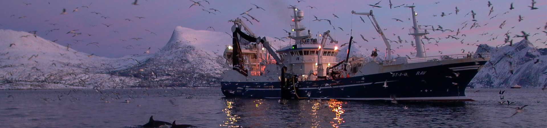 Fishing vessel in an Arctic fjord