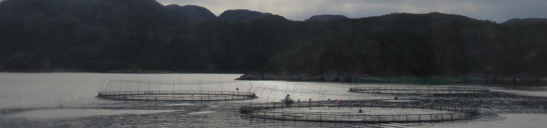 Image of large fishfarm