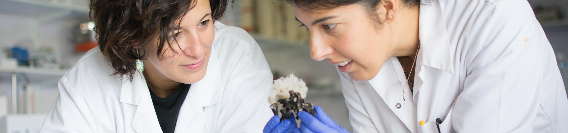 Two female international scientists working on deep-sea ecology inside a laboratory