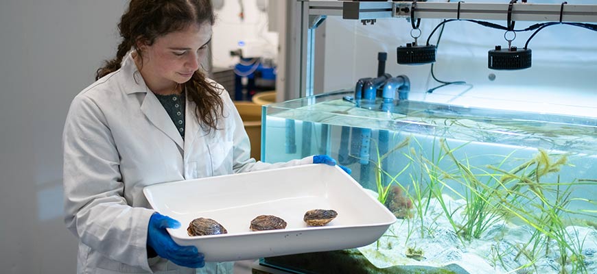 Postgraduate Research Programmes