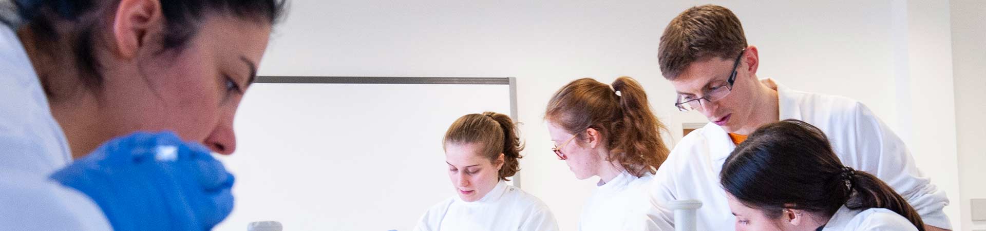 Four Master students in a typical molecular biology laboratory during their course.