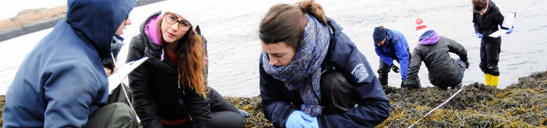 Group of students doing coastal ecology on the seashore