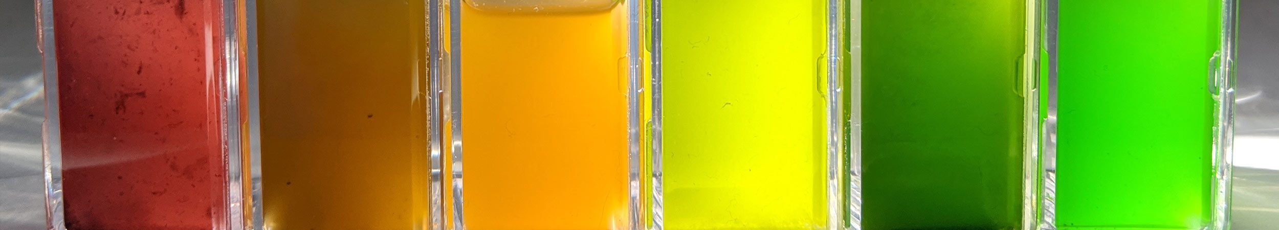 multi coloured algae in glass bottles
