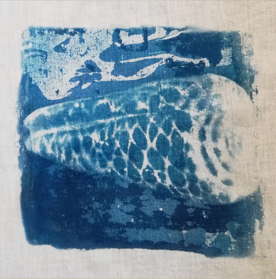 cyanotype 1 cyanotype 1