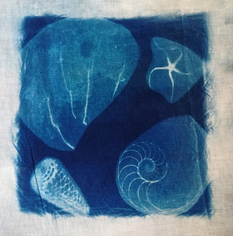 cyanotype 2 cyanotype 2
