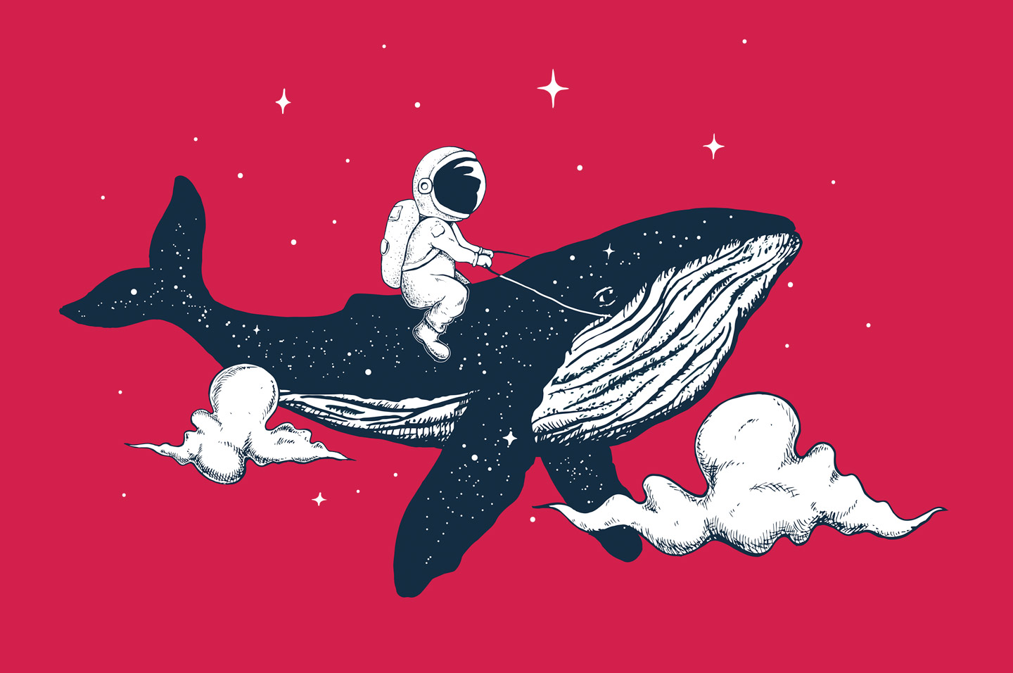 Iona Whale Iona Whale