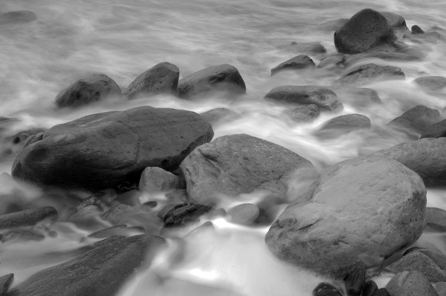 rockyshore rockyshore