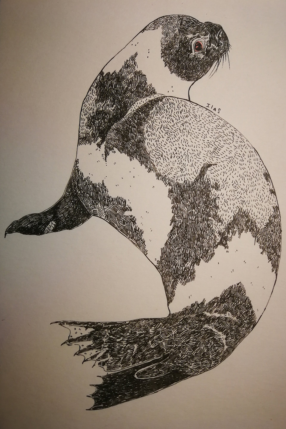 seal seal