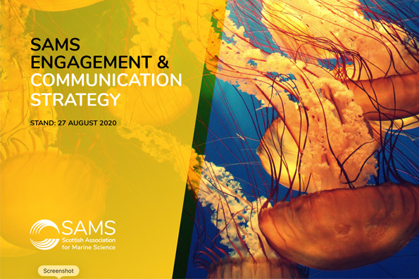 Front page of the SAMS Comms strategy 20-25 with jellyfish