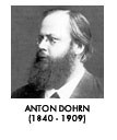 Anton Dohrn 1840-1909