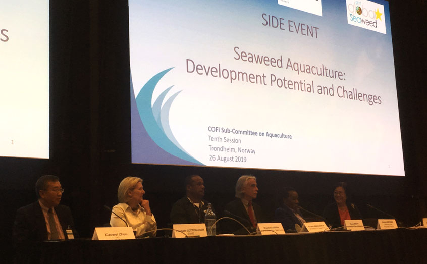 SAMS hosts Seaweed event at committee meeting of UN- Food and Agriculture Organisation