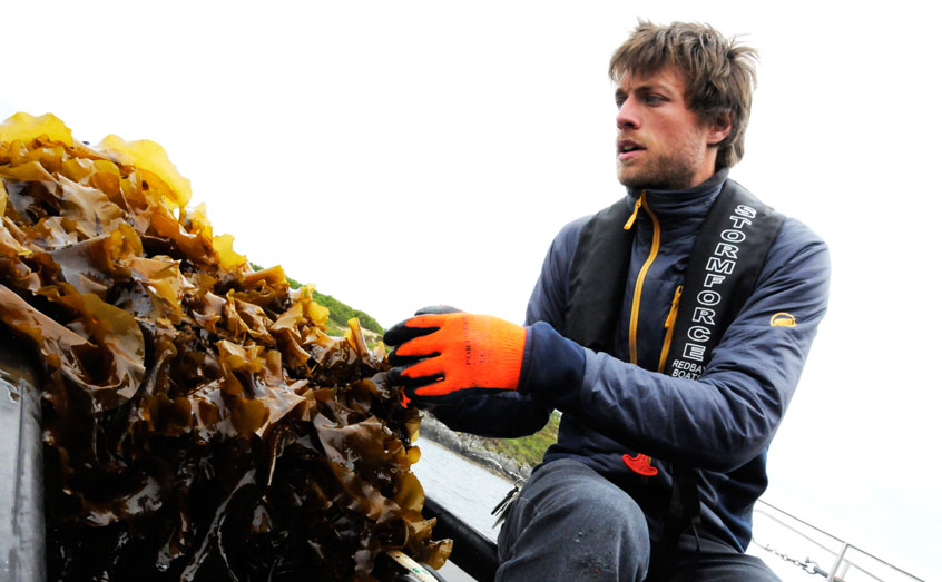 Dr Adrian MacLeod of SAMS is carrying out research in seaweed cultivation