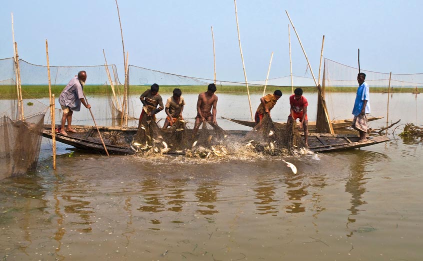 Fishermen in Bangladesh. Credit: WikiCommons