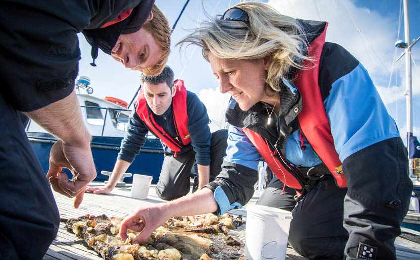 Prof Elizabeth Cottier-Cook specialises in studying invasive non-native marine species