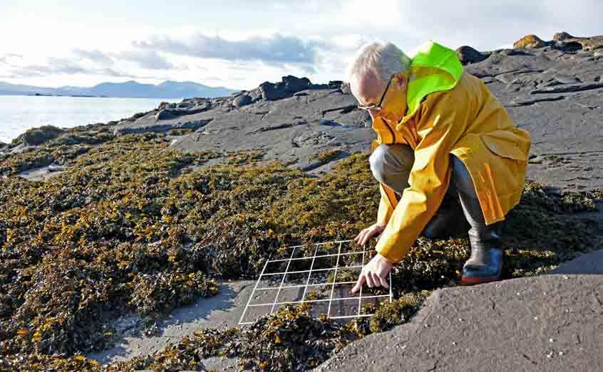 Marine ecologist Prof Michael Burrows is lead author on the global assessment of ocean warming impacts.  