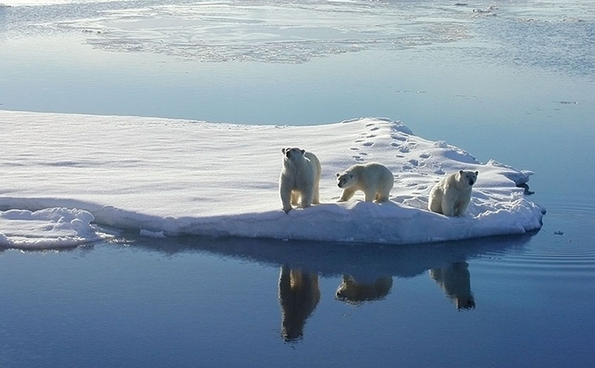 Arctic issues will be at the heart of the presentations