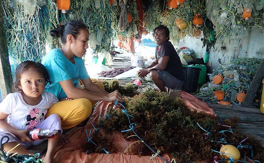 A family of seaweed farmers in Malaysia