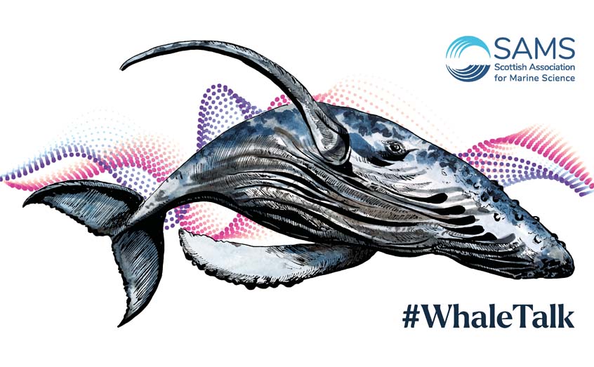The #WhaleTalk campaign will run throughout the latter half of 2023 