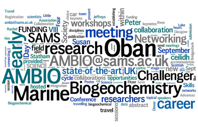 Wordle presenting some of the words that can be associated with the conference