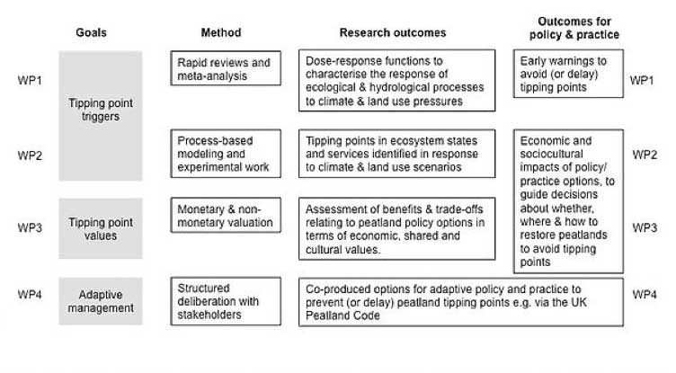 VNP Peats table