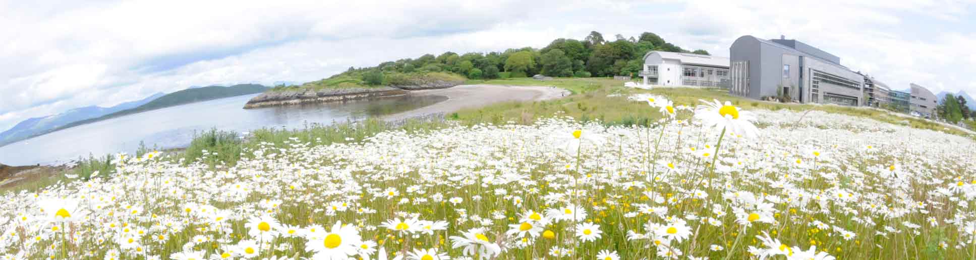 Dunstaffnage peninsula in the spring with our buildings in the background